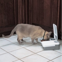 comedero gatos
